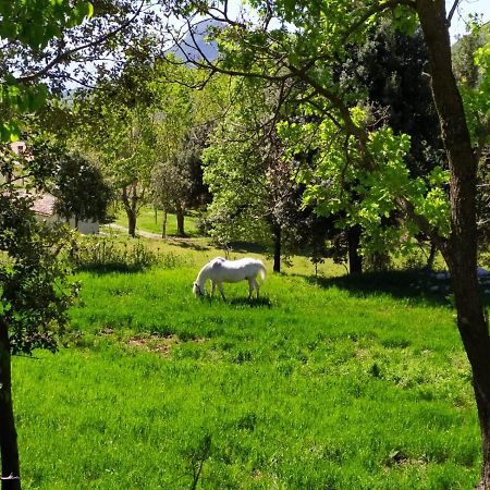 Agriturismo Colloreto Morano Calabro Εξωτερικό φωτογραφία