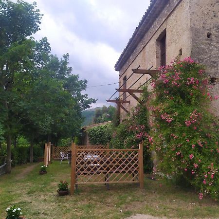 Agriturismo Colloreto Morano Calabro Εξωτερικό φωτογραφία