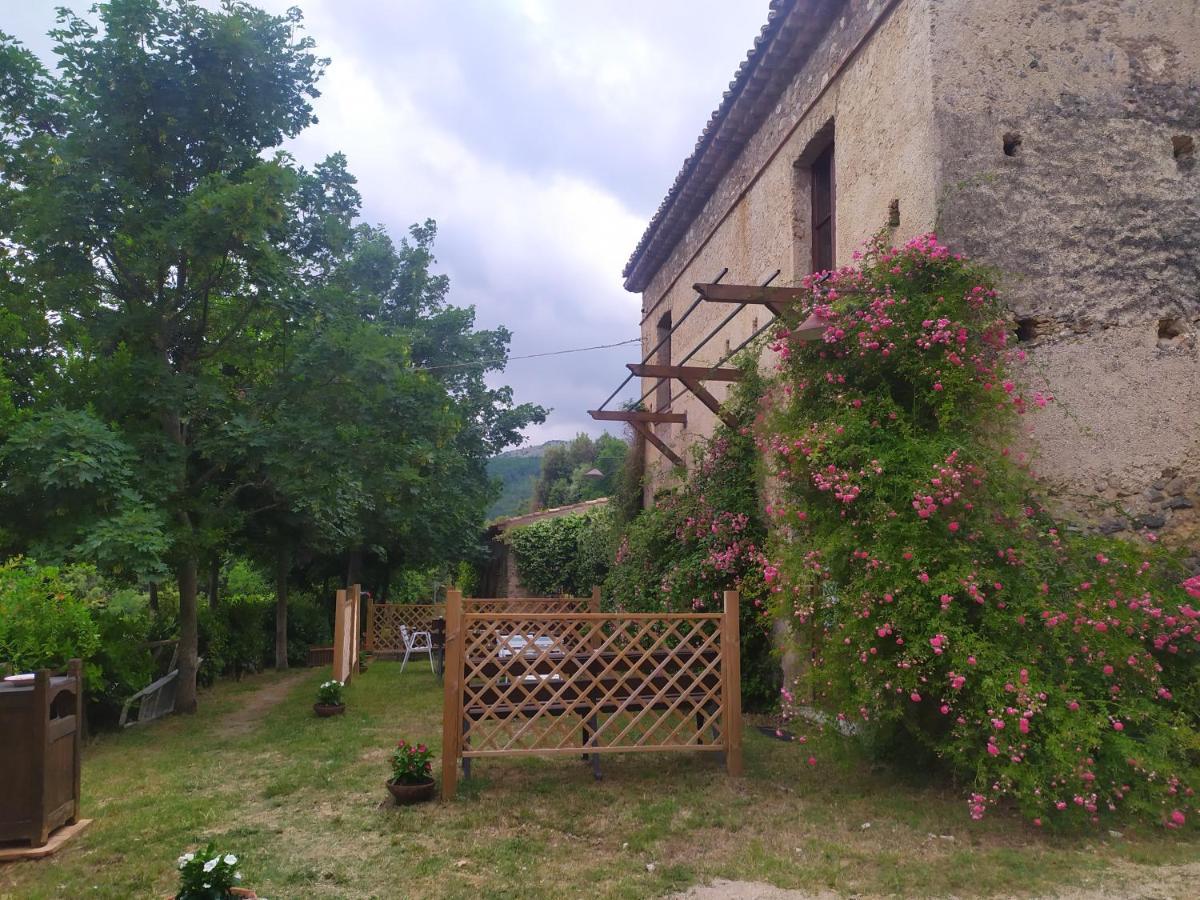 Agriturismo Colloreto Morano Calabro Εξωτερικό φωτογραφία