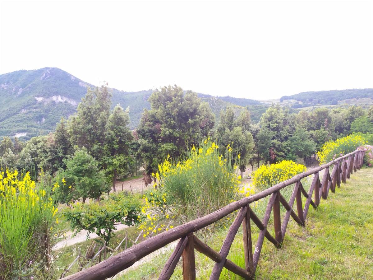 Agriturismo Colloreto Morano Calabro Εξωτερικό φωτογραφία