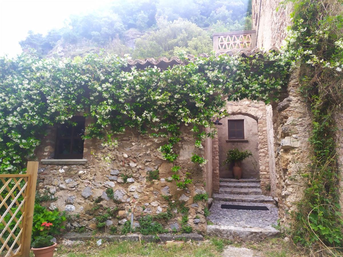 Agriturismo Colloreto Morano Calabro Εξωτερικό φωτογραφία